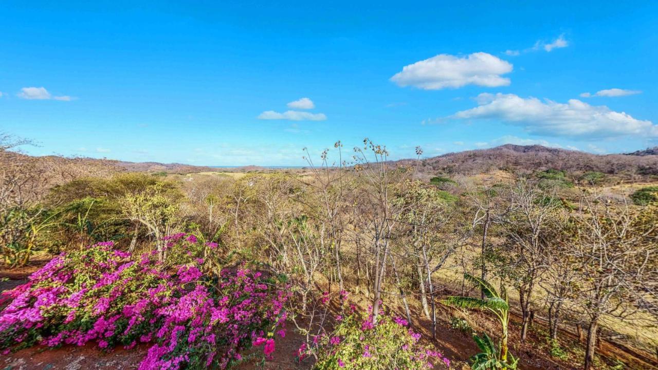 Hyla Nature Retreat Ξενοδοχείο San José Pinilla Εξωτερικό φωτογραφία